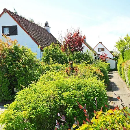 Duinhuis 131 With Parking By Interhome Mispelburg